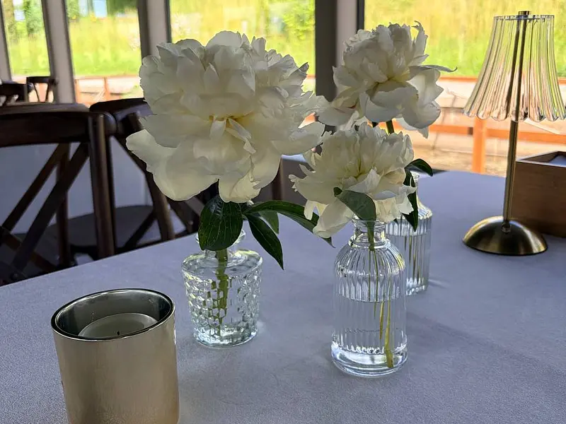 Išvežamieji pobūviai 79